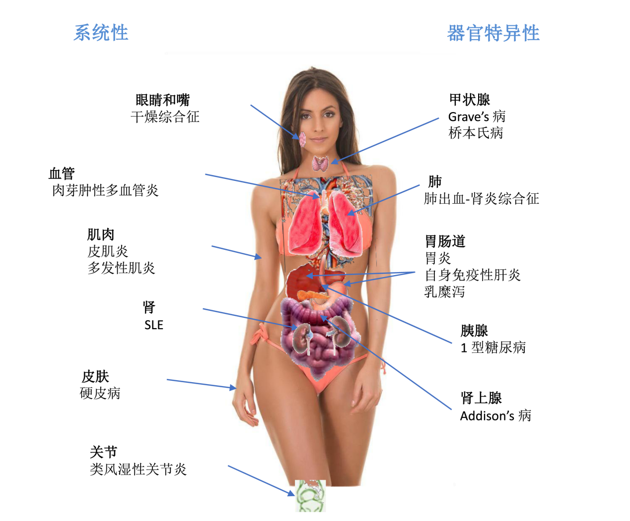 1607950108322996.png 图片1.png